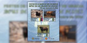 Cartel de toros de la Junta de Fiestas